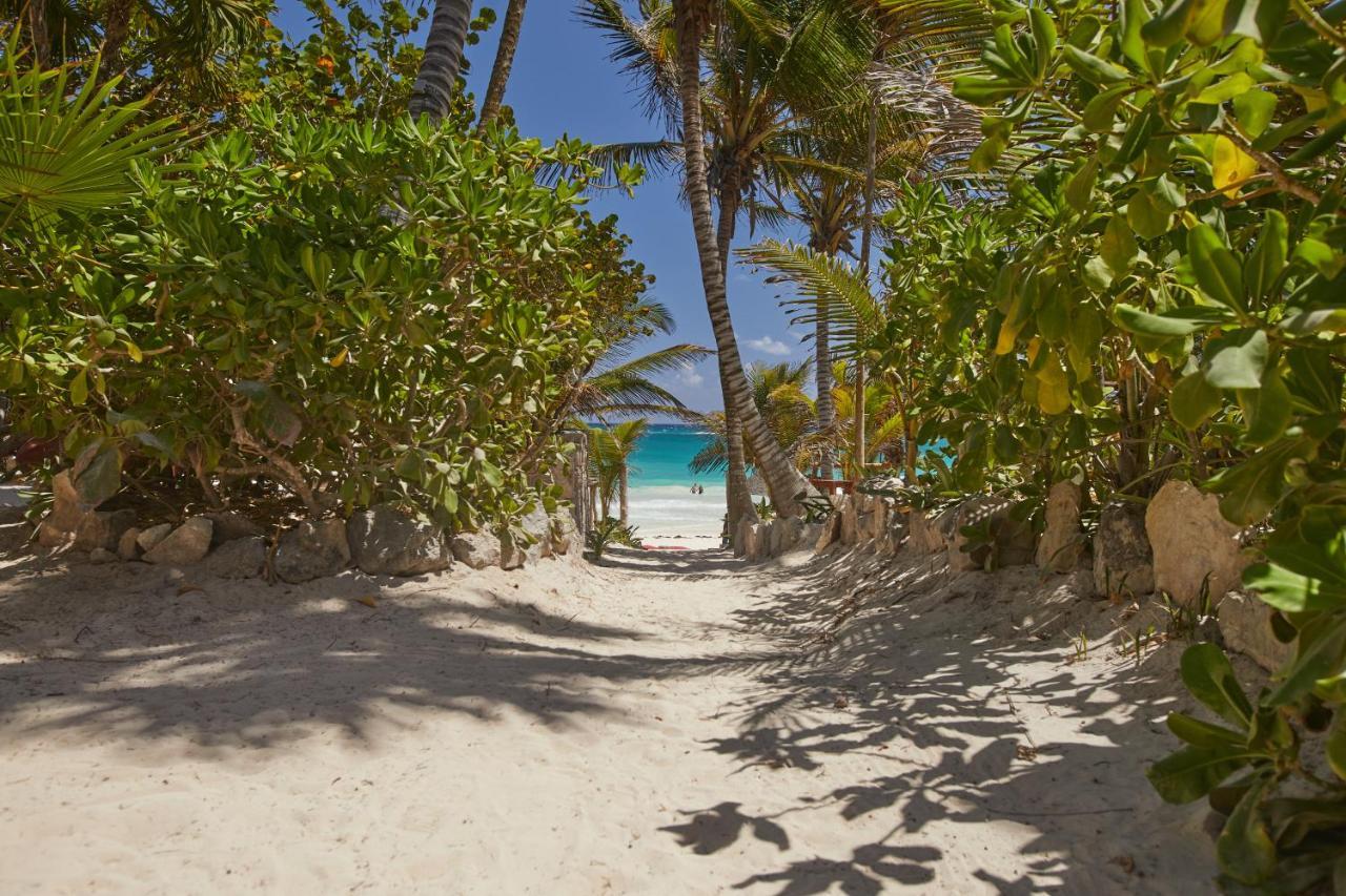Dos Ceibas Tulum - Massage & Yoga Inclusive Hotel Kültér fotó