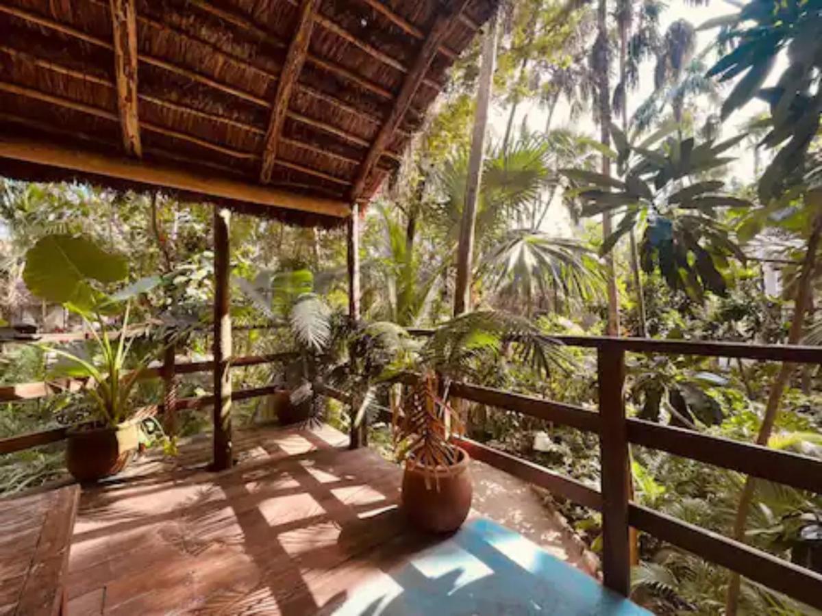 Dos Ceibas Tulum - Massage & Yoga Inclusive Hotel Kültér fotó