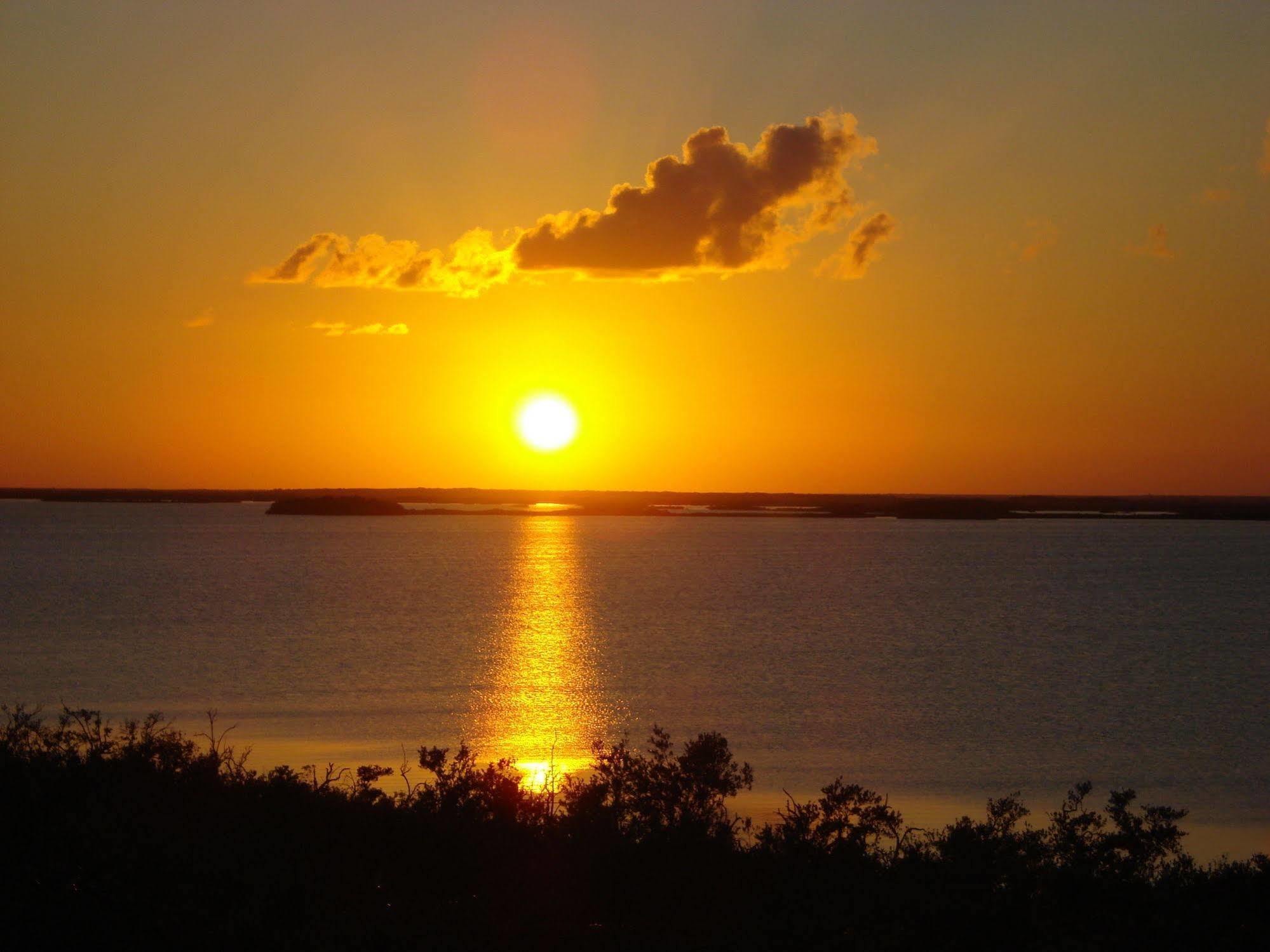 Dos Ceibas Tulum - Massage & Yoga Inclusive Hotel Kültér fotó