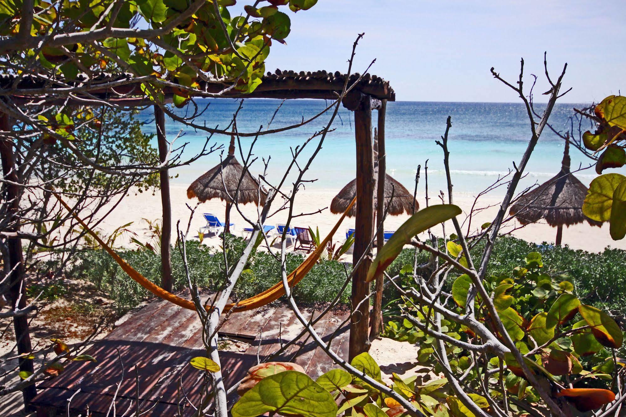 Dos Ceibas Tulum - Massage & Yoga Inclusive Hotel Kültér fotó